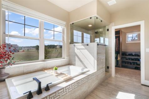 18561 Cherry Springs Ranch Drive Monument CO 80132