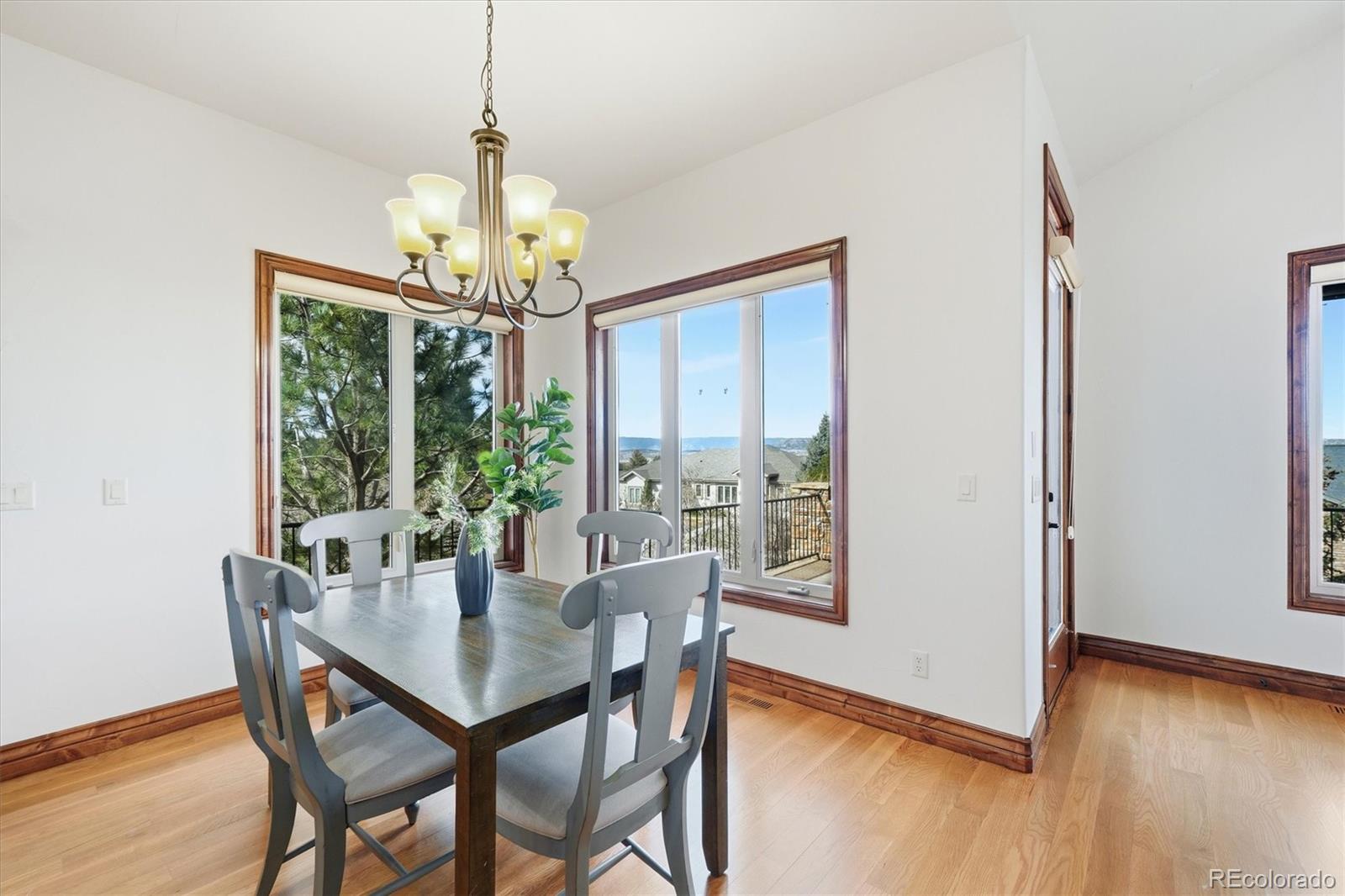1356 Fox Hollow Place Castle Rock CO 80104