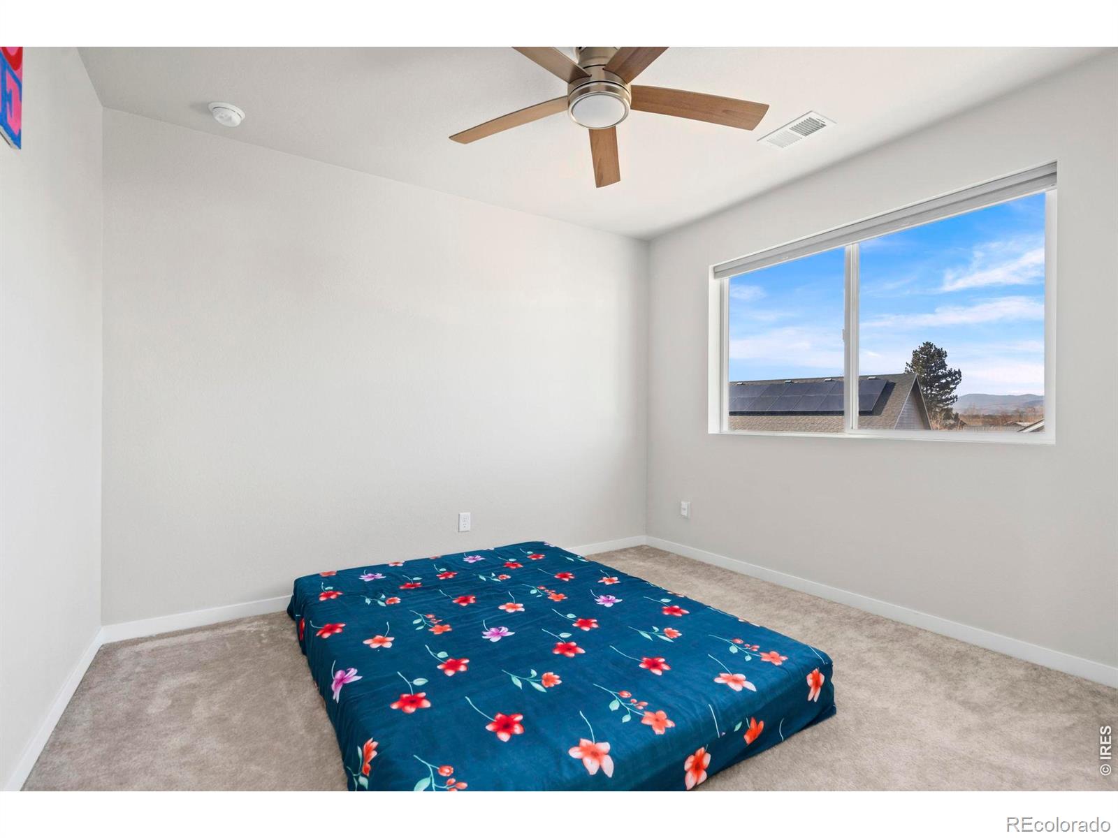 5233 2nd Avenue Timnath CO 80547