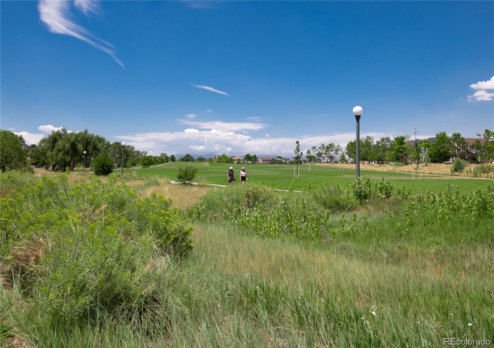 3031 Trenton Street Denver CO 80238