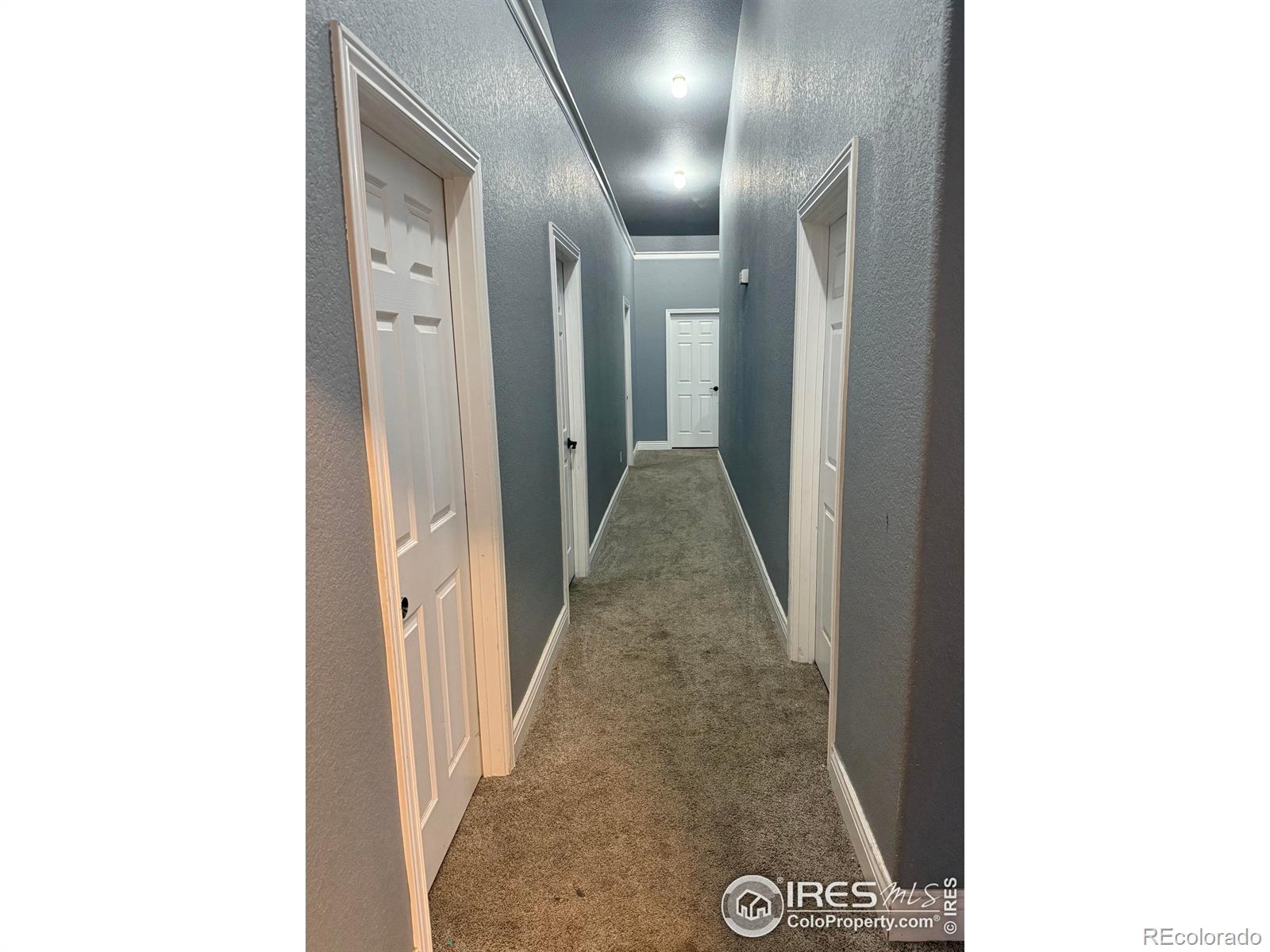 419 E 3rd Avenue Wiggins CO 80654