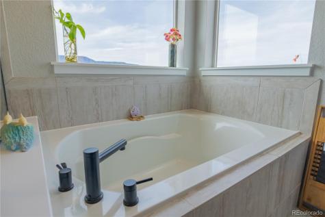 16870 Roaming Elk Drive Monument CO 80132