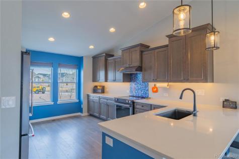 16870 Roaming Elk Drive Monument CO 80132