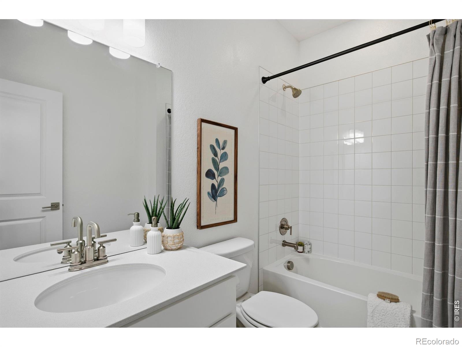 438 Overbrook Lane Longmont CO 80504