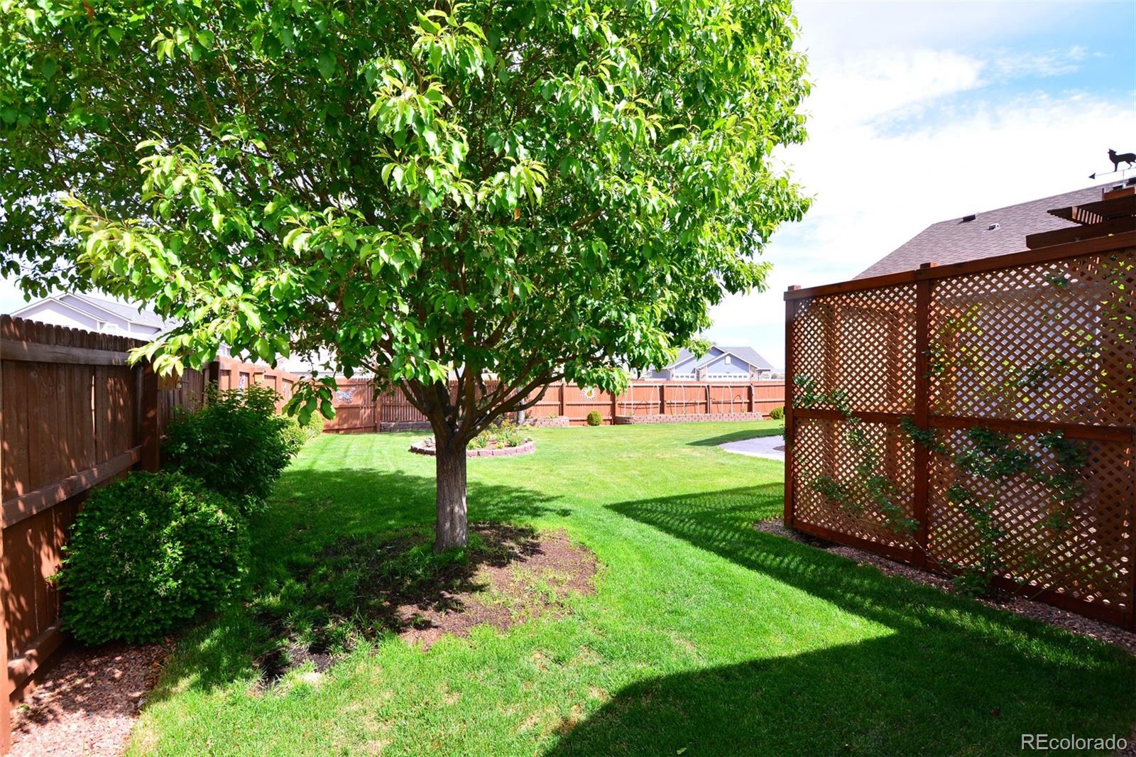 7410 Sun Prairie Drive Colorado Springs CO 80925