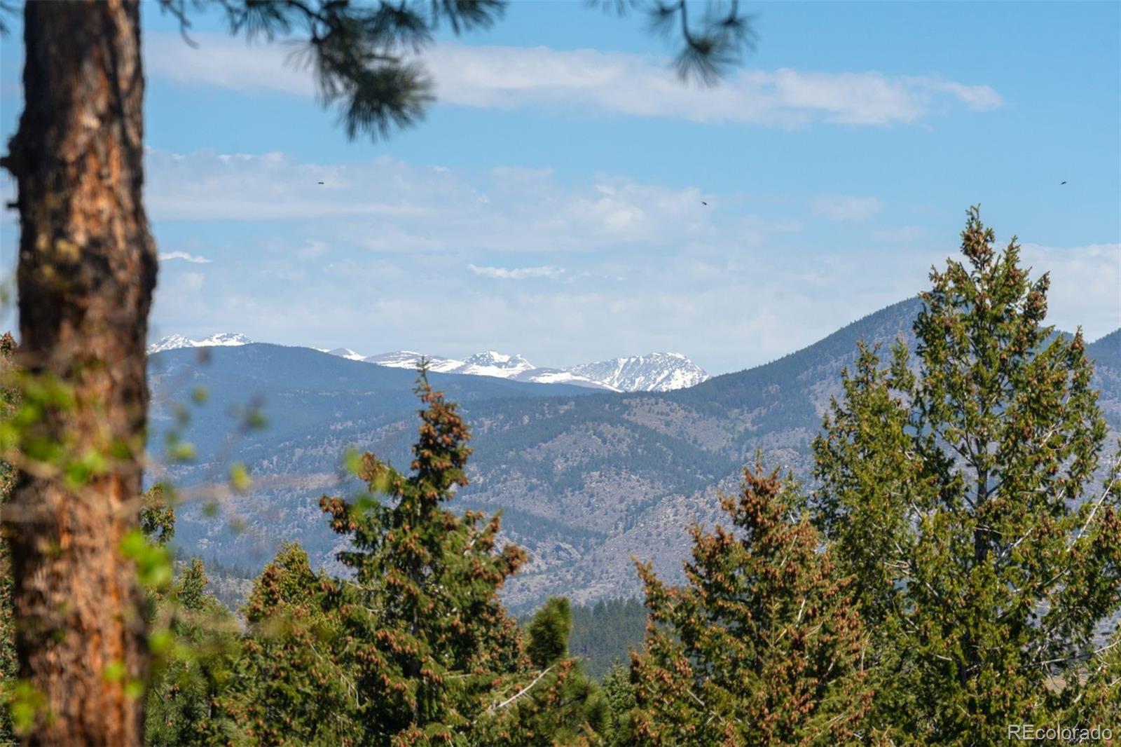 1106 County Road 65 Evergreen CO 80439