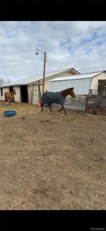 7037 S Platte Canyon Road Littleton CO 80128