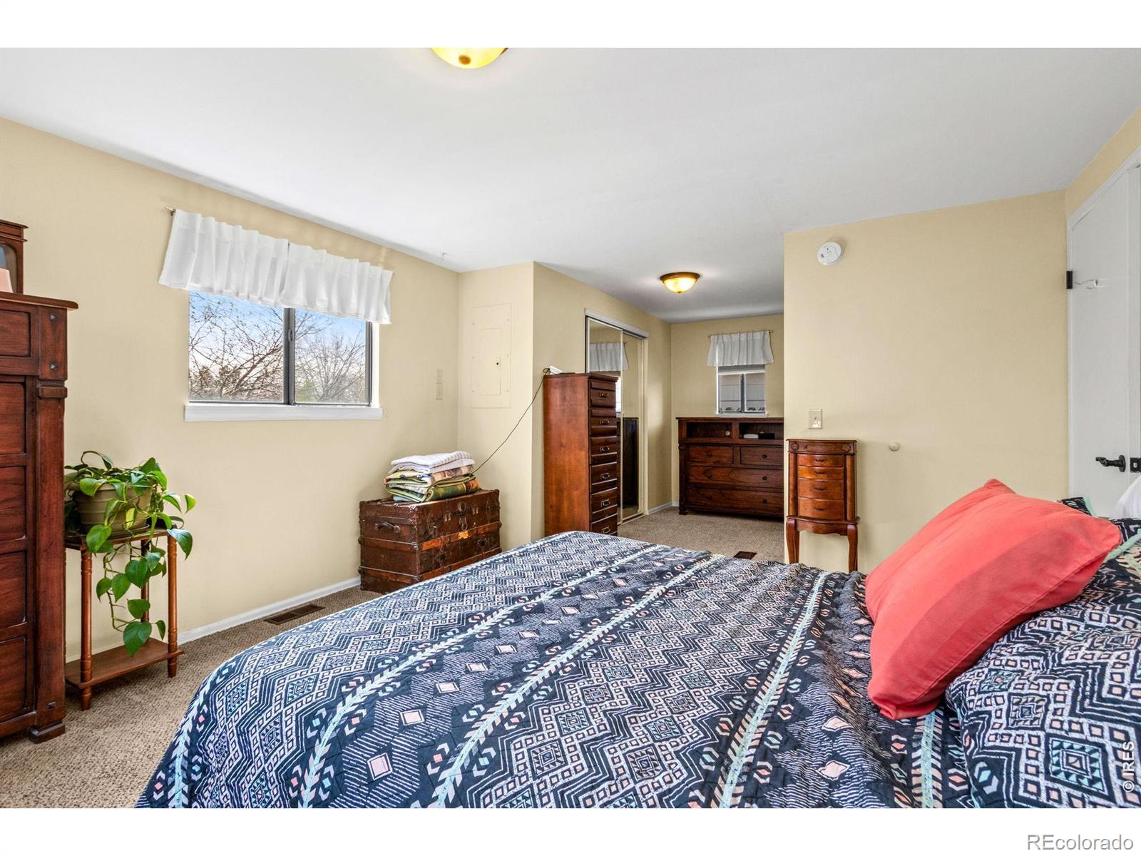 2820 Mango Place Loveland CO 80537