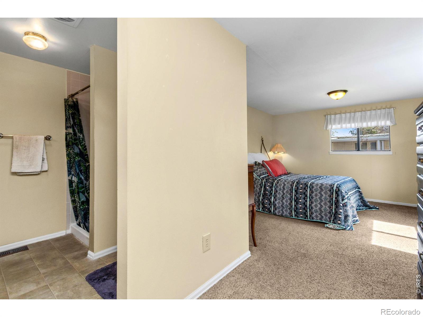 2820 Mango Place Loveland CO 80537