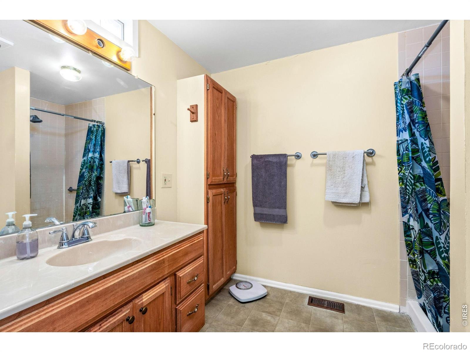 2820 Mango Place Loveland CO 80537