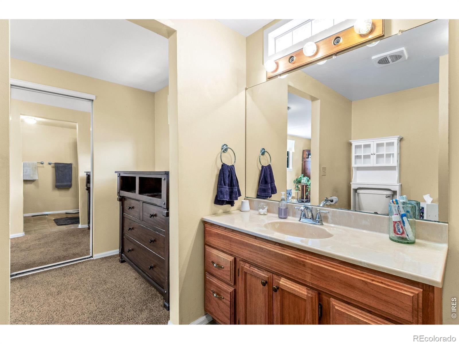 2820 Mango Place Loveland CO 80537