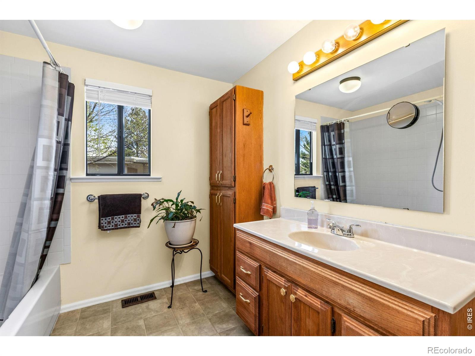 2820 Mango Place Loveland CO 80537
