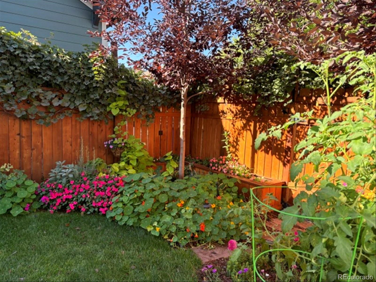 2783 Havana Street Denver CO 80238
