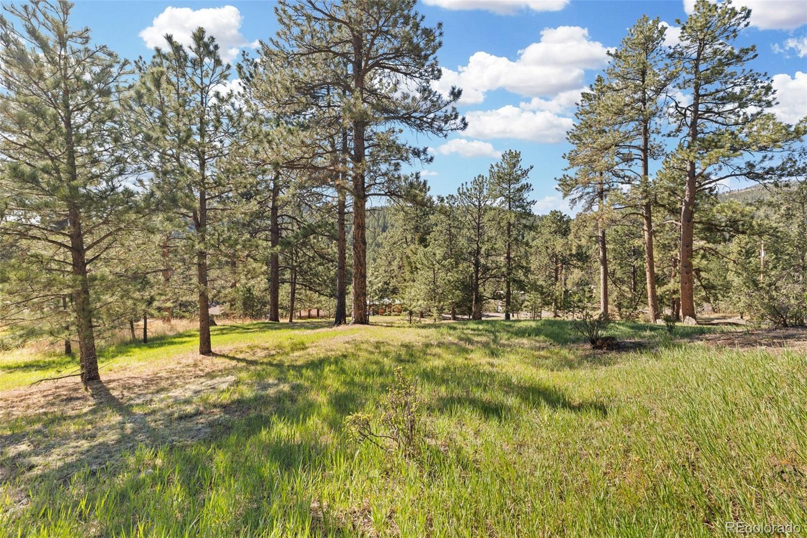 7186 Julie Lane Evergreen CO 80439