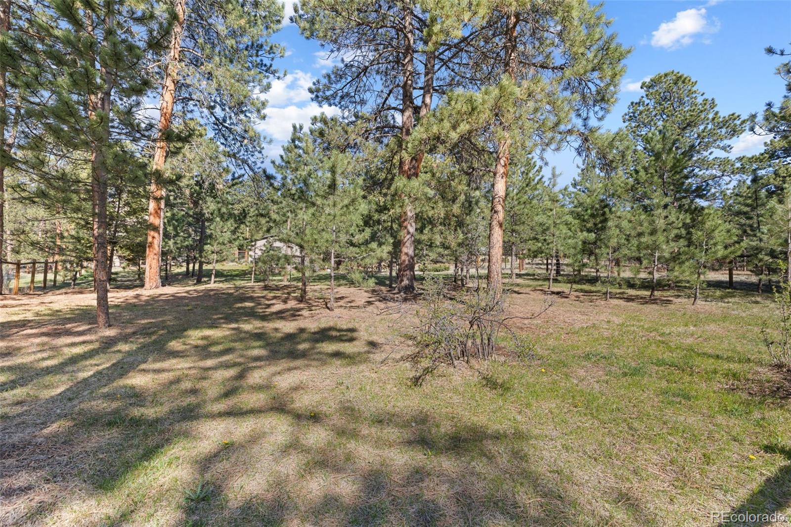 7186 Julie Lane Evergreen CO 80439