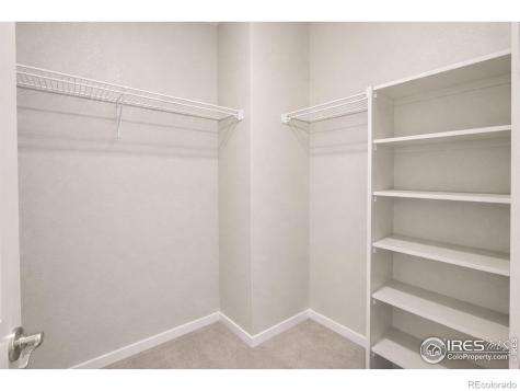 1572 Illingworth Drive Windsor CO 80550
