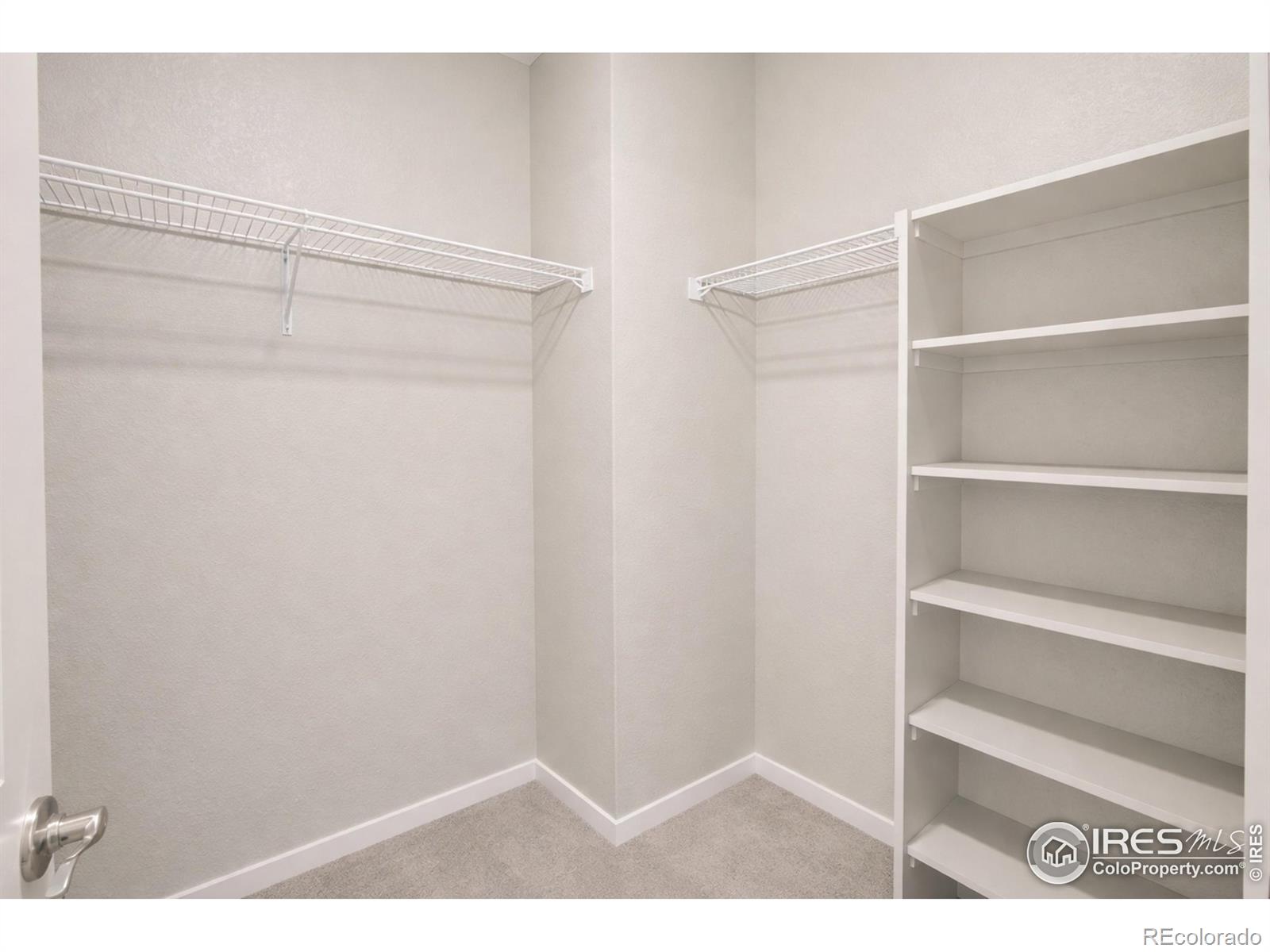 1572 Illingworth Drive Windsor CO 80550