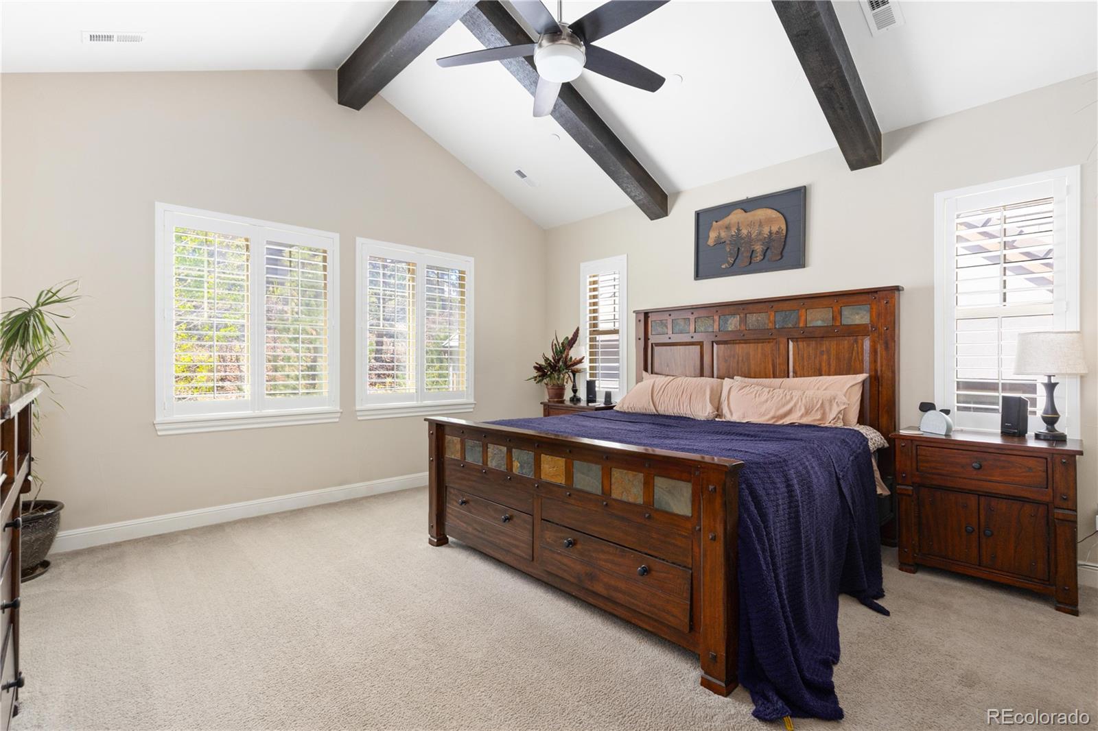 6842 Northstar Circle Castle Rock CO 80108