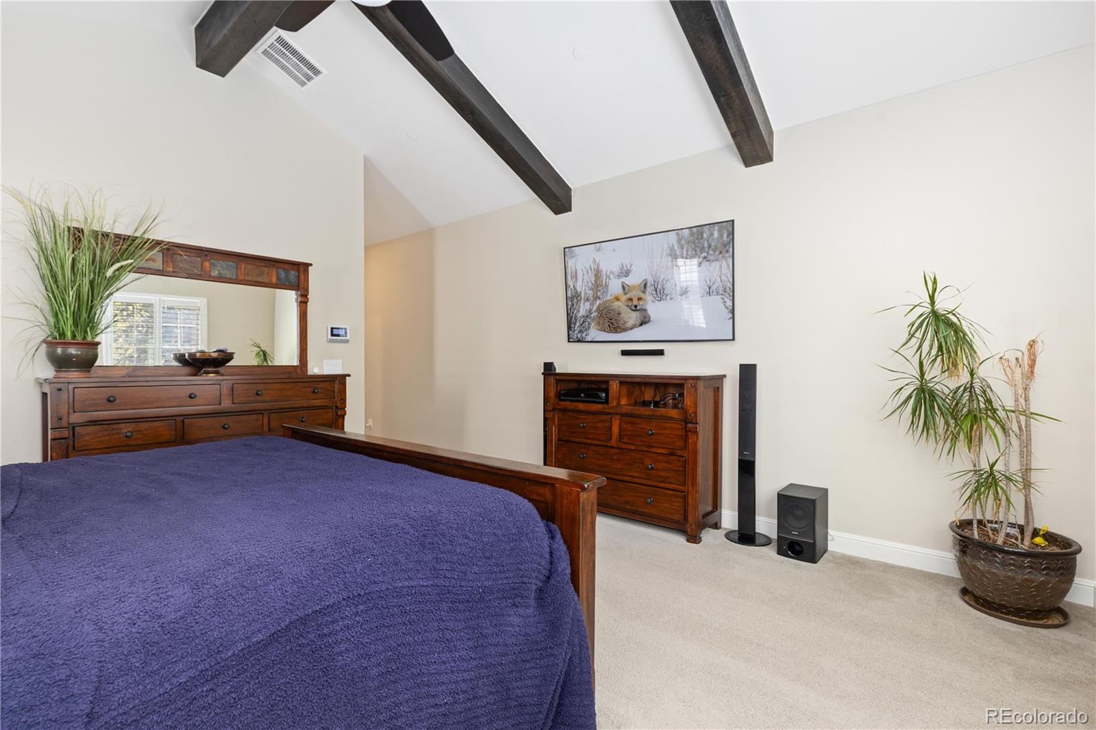 6842 Northstar Circle Castle Rock CO 80108