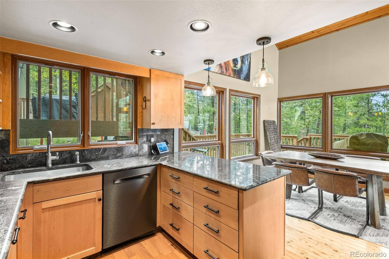 9471 S Warhawk Road Conifer CO 80433