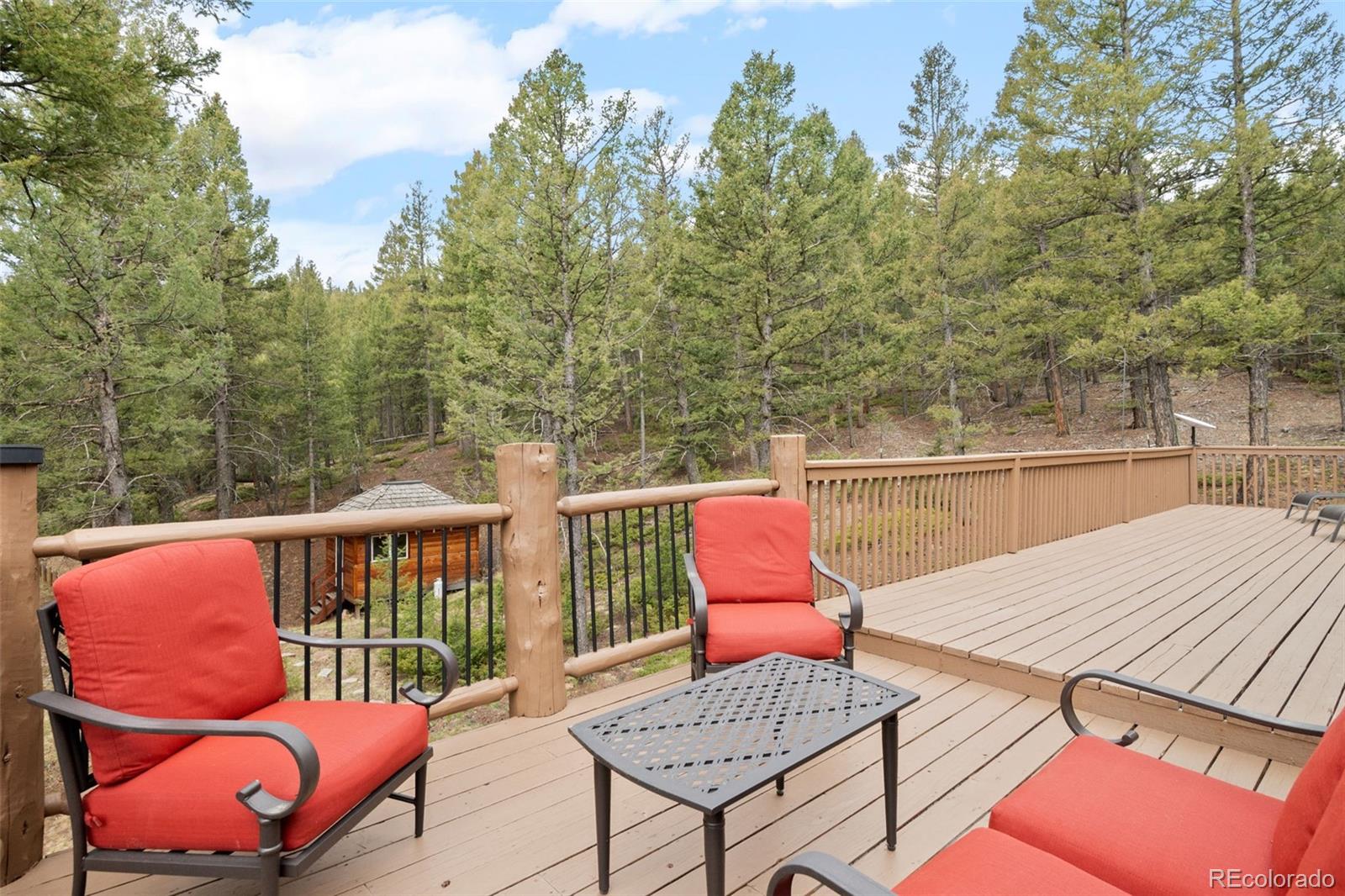 9471 S Warhawk Road Conifer CO 80433