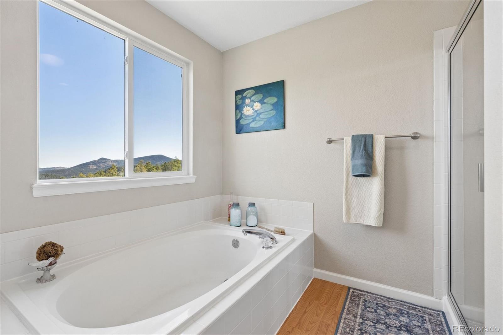 30889 Manitoba Drive Evergreen CO 80439