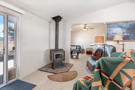 13786 Schoger Road Nathrop CO 81236