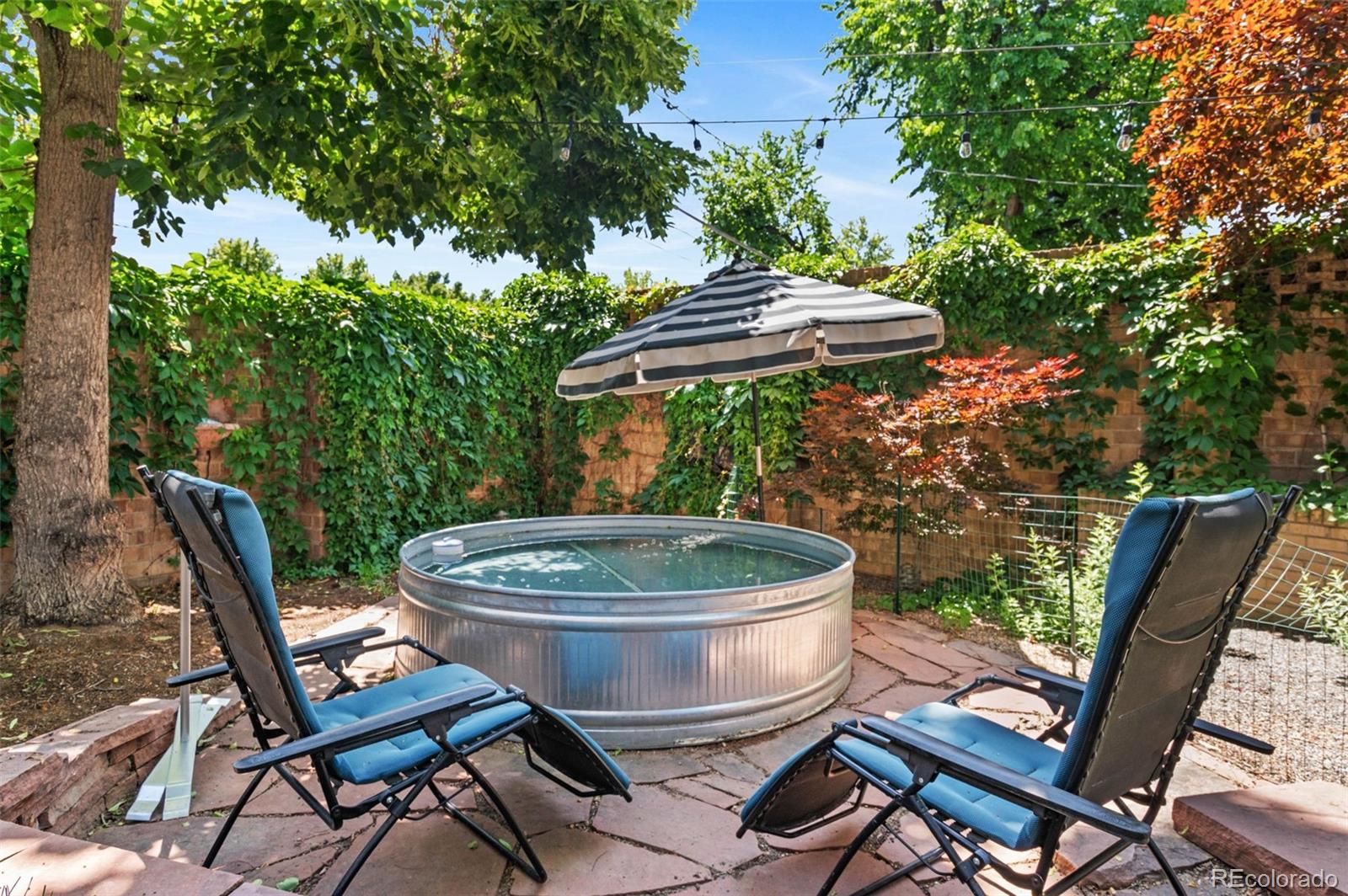 50 Albion Street Denver CO 80220