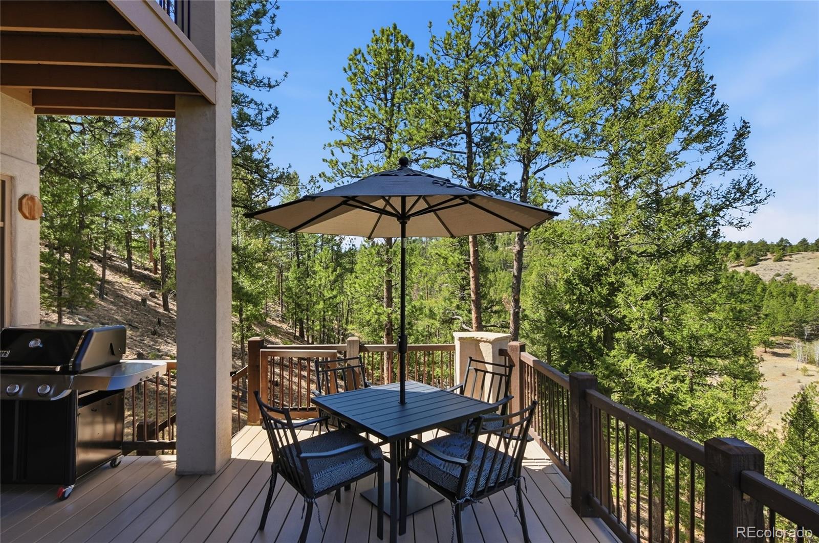 13695 May Long Court Pine CO 80470