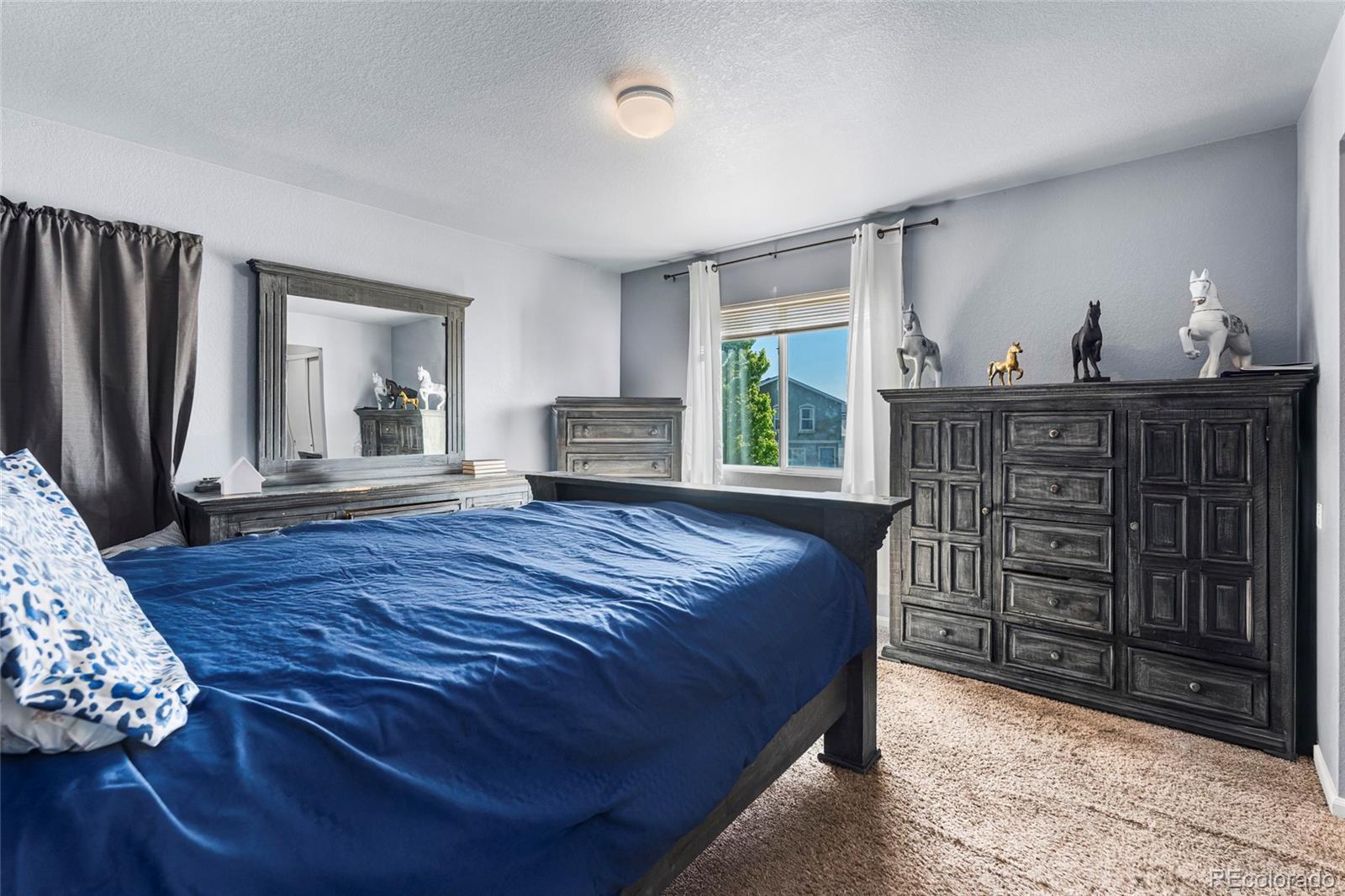 4528 Andes Street Denver CO 80249