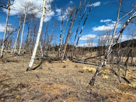 457 Caracara Lane Jefferson CO 80456