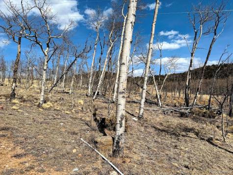 457 Caracara Lane Jefferson CO 80456