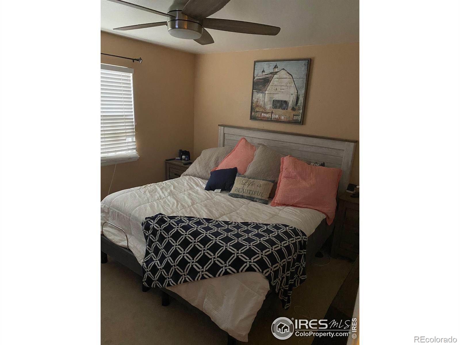 320 E Lilac Street Milliken CO 80543