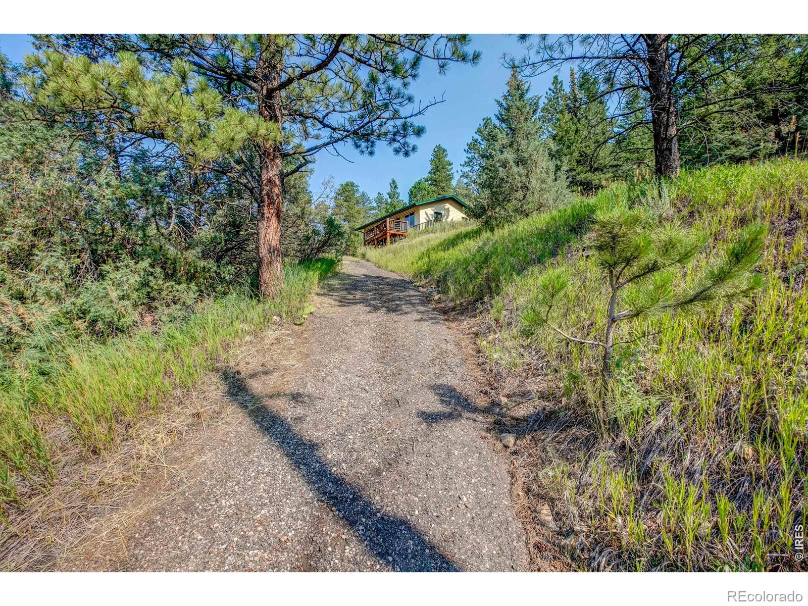 1142 Streamside Drive Glen Haven CO 80532