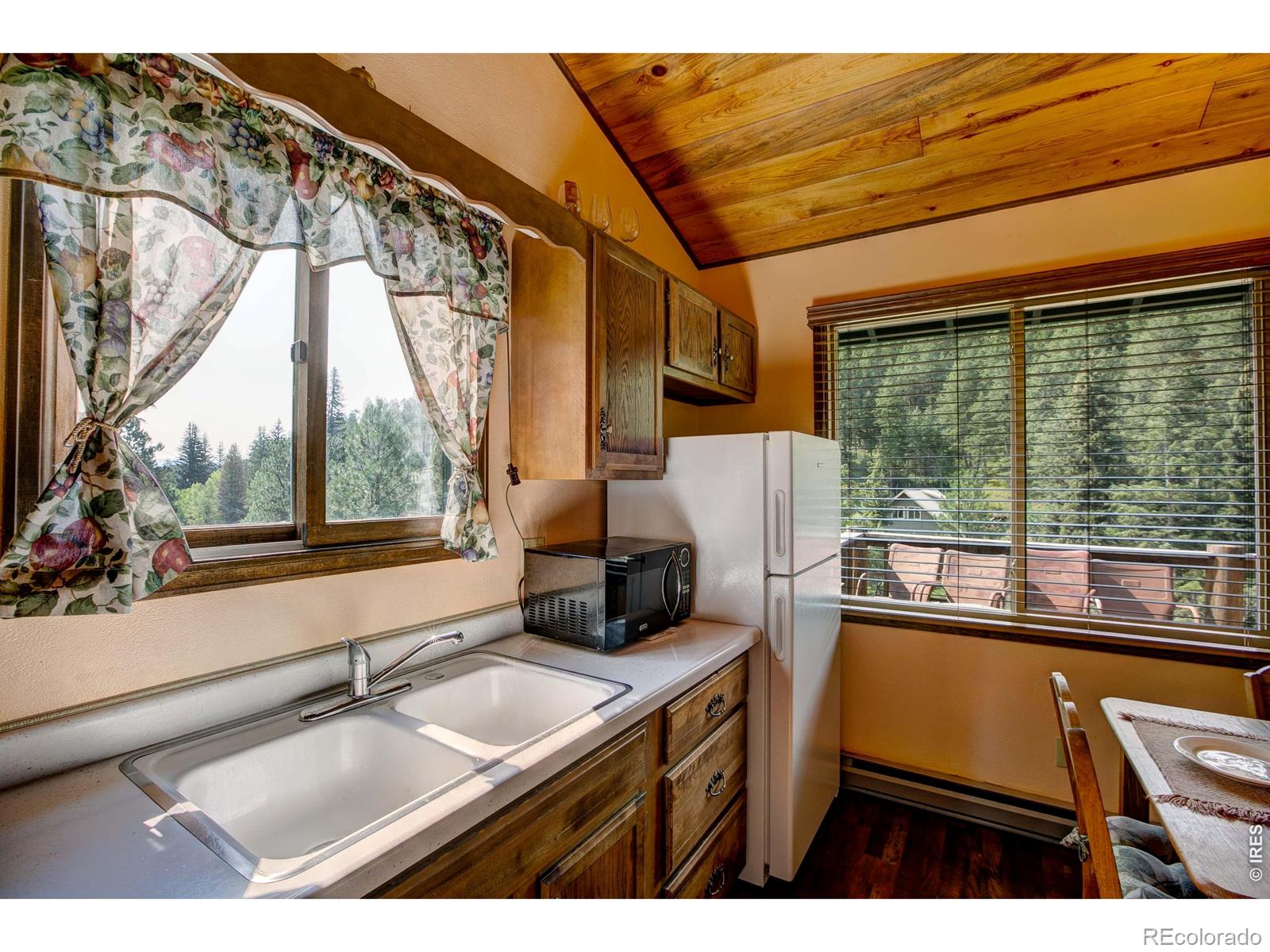 1142 Streamside Drive Glen Haven CO 80532