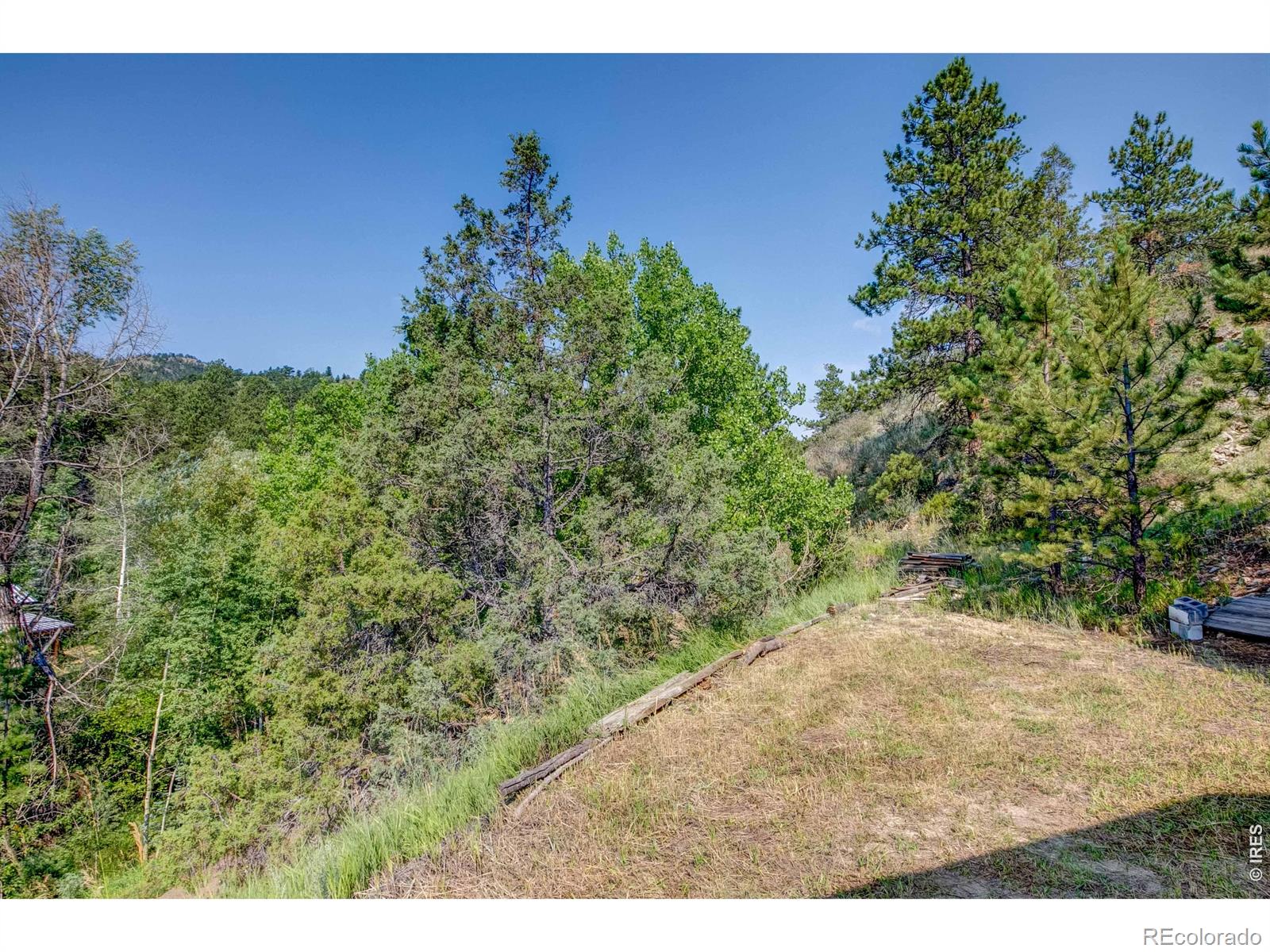 1142 Streamside Drive Glen Haven CO 80532