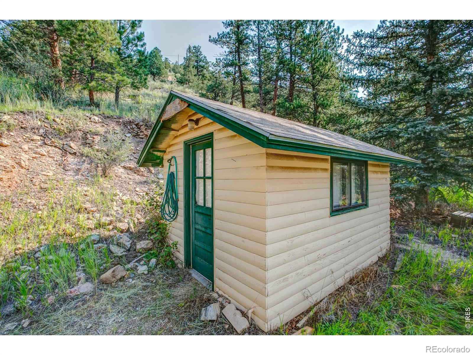 1142 Streamside Drive Glen Haven CO 80532