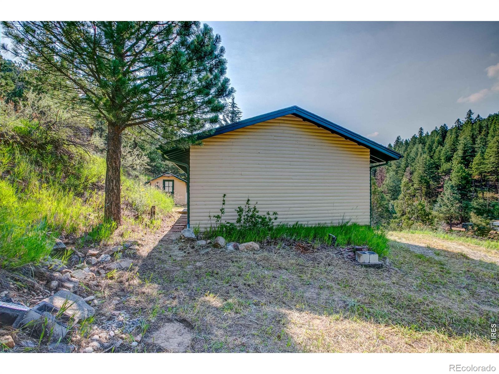 1142 Streamside Drive Glen Haven CO 80532