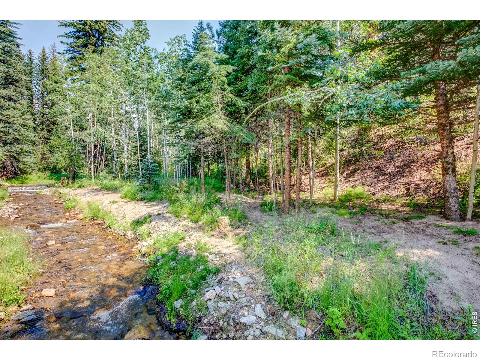 1142 Streamside Drive Glen Haven CO 80532