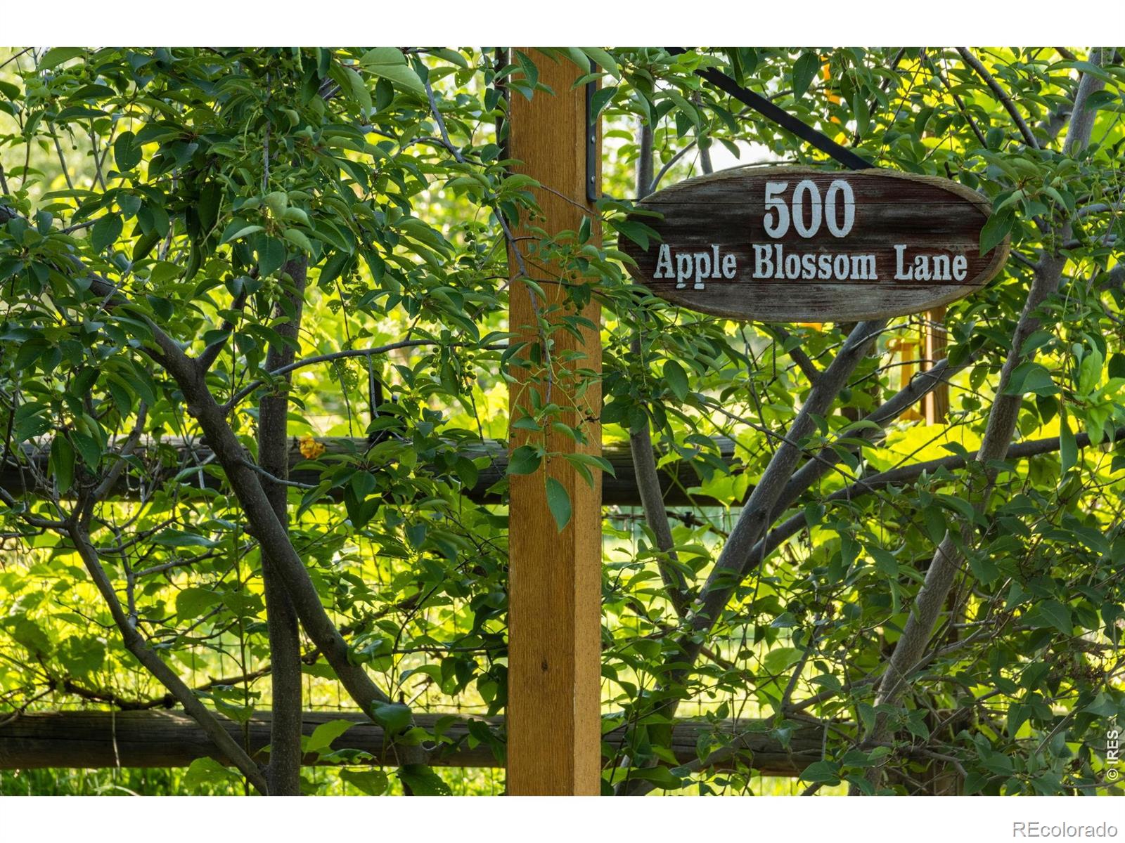 500 Apple Blossom Lane Fort Collins CO 80526