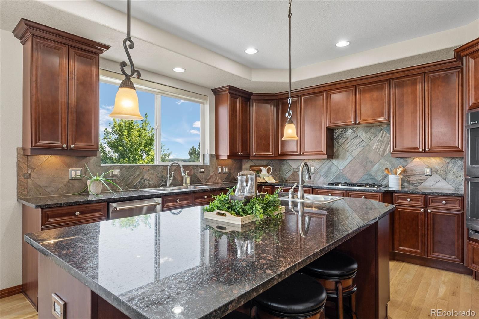 5672 Vistancia Court Parker CO 80134