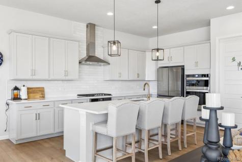 14307 Shasta Daisy Point Parker CO 80134