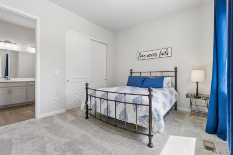 14307 Shasta Daisy Point Parker CO 80134