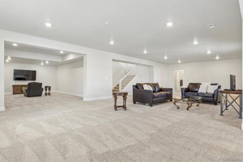 14307 Shasta Daisy Point Parker CO 80134