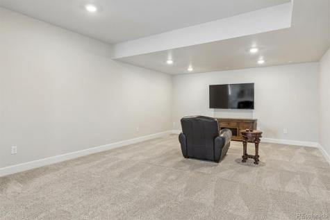 14307 Shasta Daisy Point Parker CO 80134
