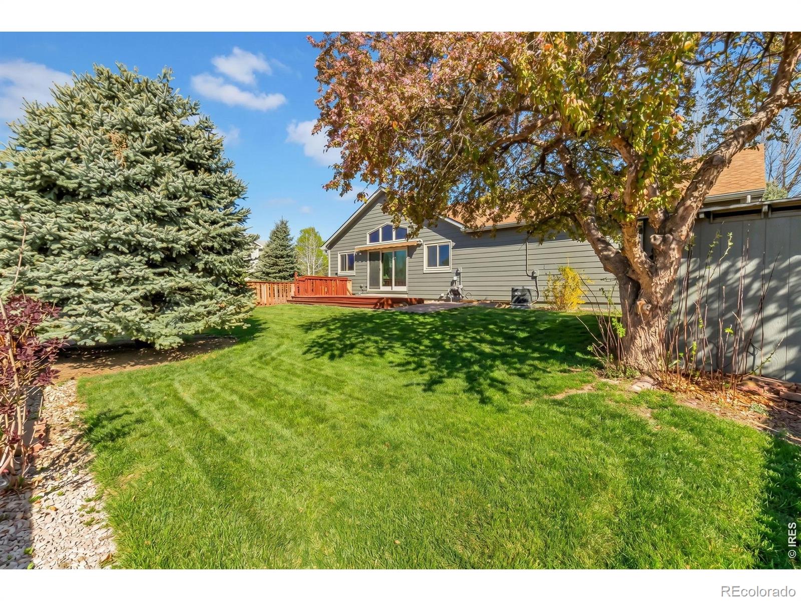 1050 W 44th Street Loveland CO 80538
