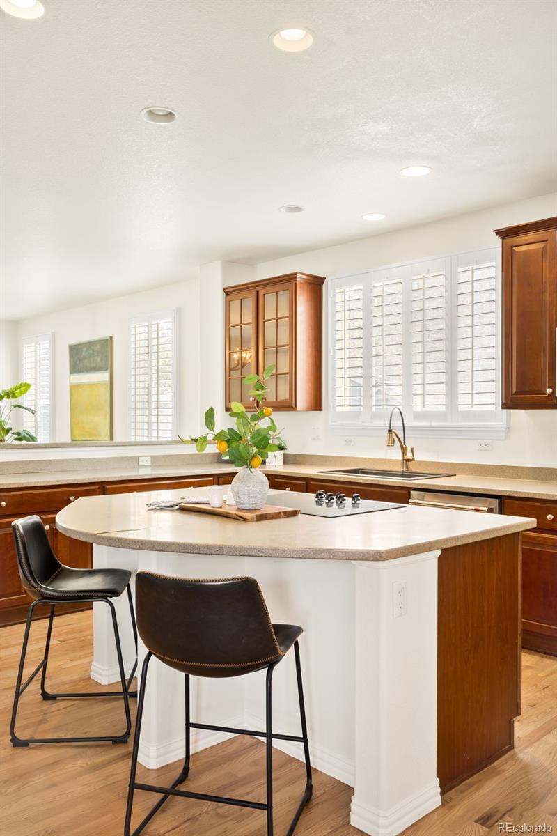 10664 Chandon Place Highlands Ranch CO 80126