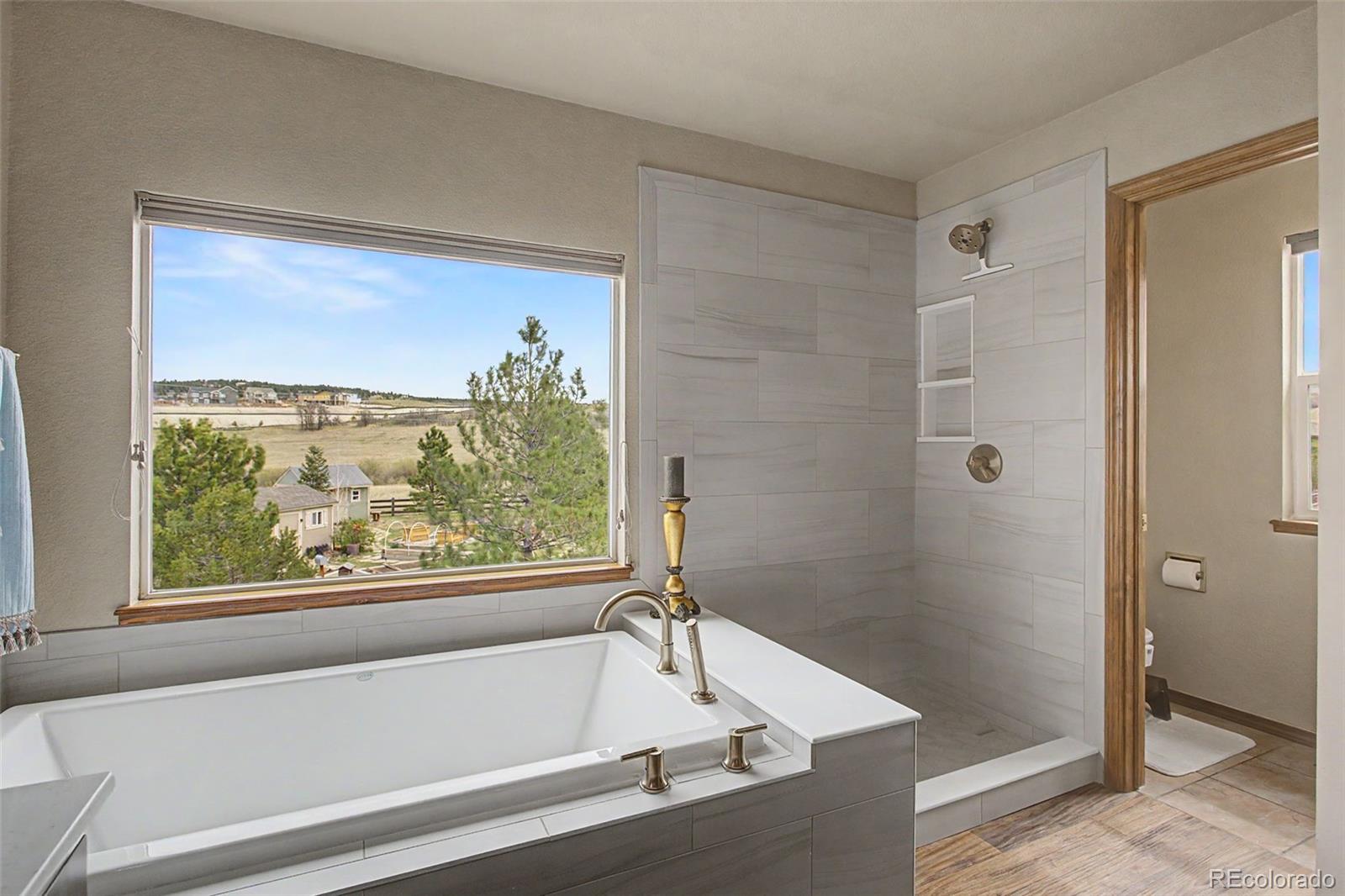 578 Larimer Creek Drive Monument CO 80132