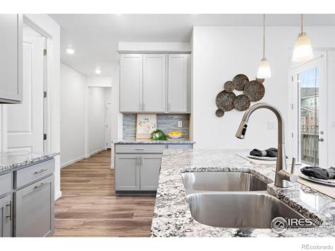 1631 Wright Alley Erie CO 80516