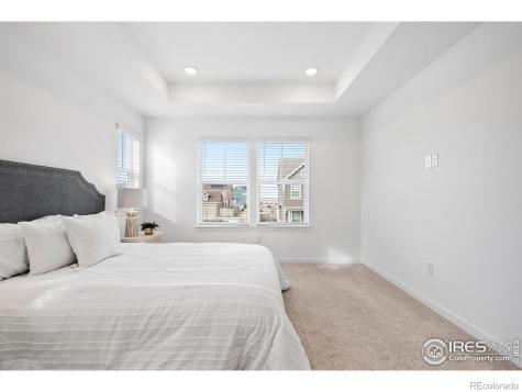 1631 Wright Alley Erie CO 80516
